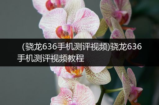 （骁龙636手机测评视频)骁龙636手机测评视频教程