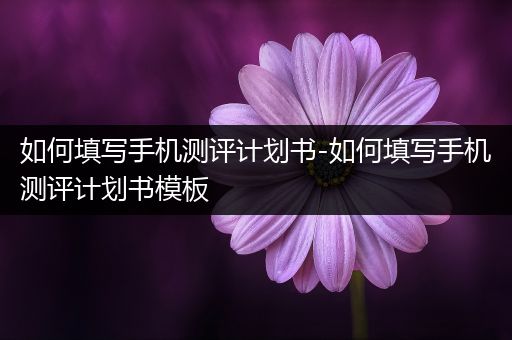 如何填写手机测评计划书-如何填写手机测评计划书模板