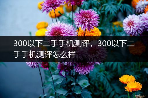 300以下二手手机测评，300以下二手手机测评怎么样