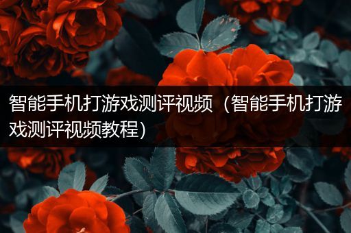 智能手机打游戏测评视频（智能手机打游戏测评视频教程）