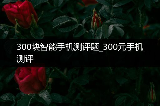 300块智能手机测评题_300元手机测评