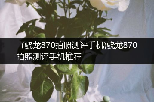 （骁龙870拍照测评手机)骁龙870拍照测评手机推荐