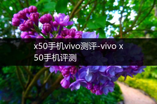 x50手机vivo测评-vivo x50手机评测