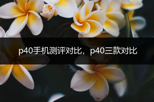 p40手机测评对比，p40三款对比