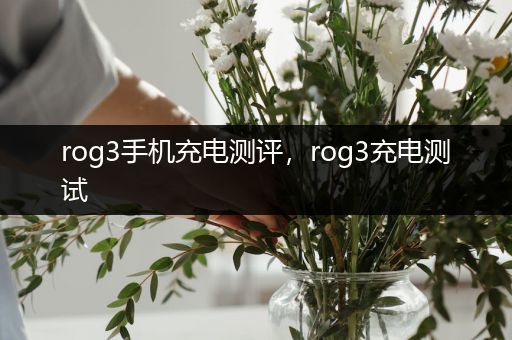 rog3手机充电测评，rog3充电测试