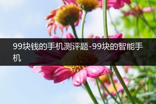 99块钱的手机测评题-99块的智能手机