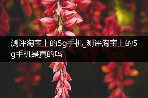 测评淘宝上的5g手机_测评淘宝上的5g手机是真的吗