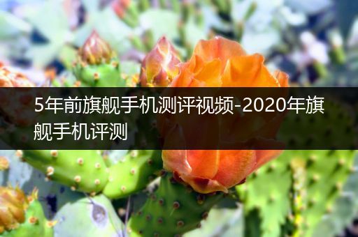 5年前旗舰手机测评视频-2020年旗舰手机评测