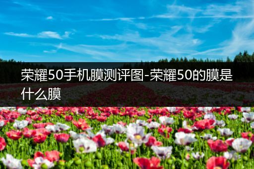 荣耀50手机膜测评图-荣耀50的膜是什么膜