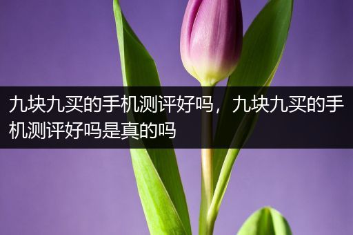 九块九买的手机测评好吗，九块九买的手机测评好吗是真的吗