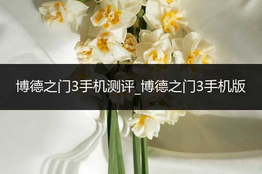 博德之门3手机测评_博德之门3手机版