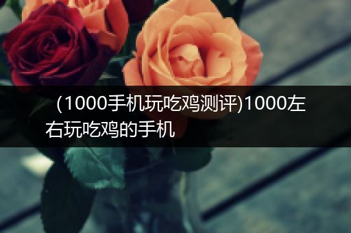 （1000手机玩吃鸡测评)1000左右玩吃鸡的手机