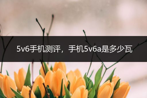 5v6手机测评，手机5v6a是多少瓦