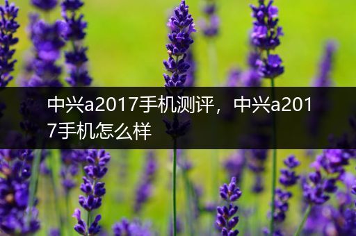 中兴a2017手机测评，中兴a2017手机怎么样