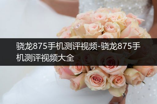 骁龙875手机测评视频-骁龙875手机测评视频大全