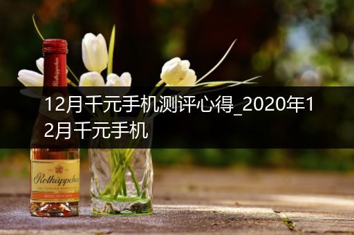 12月千元手机测评心得_2020年12月千元手机