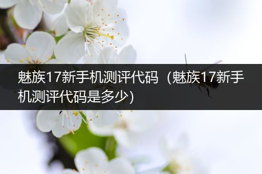 魅族17新手机测评代码（魅族17新手机测评代码是多少）