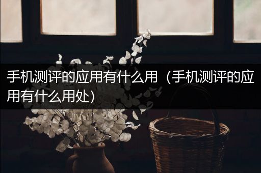 手机测评的应用有什么用（手机测评的应用有什么用处）